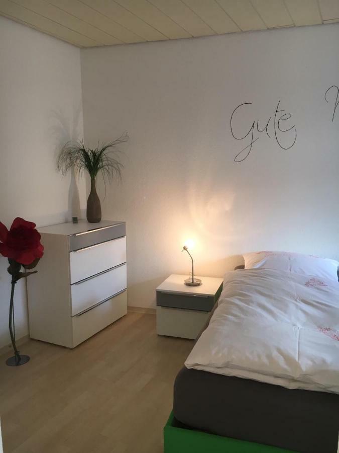 Gemuetliches Appartement Naehe Zentrum Mit Kueche Haßfurt Exterior foto
